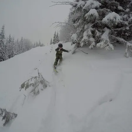 Mountain Center: Ski-in By Bike Arena Apartment