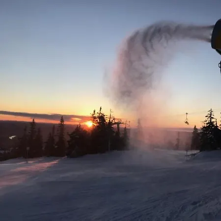 Mountain Center: Ski-in By Bike Arena *