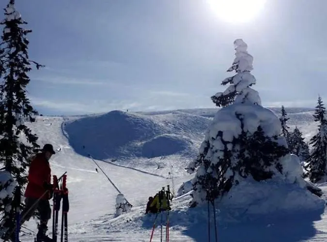 Apartamento In The Middle Of Trysilfjellet - Welcome Center - With 3 Bedrooms - By Bike Arena And Lift *