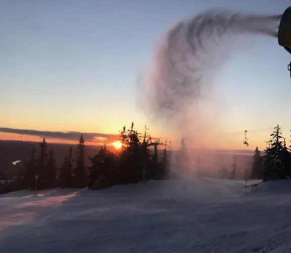 Mountain Center: Ski-in By Bike Arena *