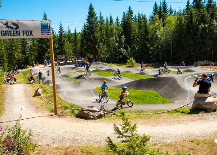 Mountain Center: Ski-in By Bike Arena Apartment