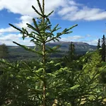 Lejlighed In The Middle Of Trysilfjellet - Welcome Center - With 3 Bedrooms - By Bike Arena And Lift